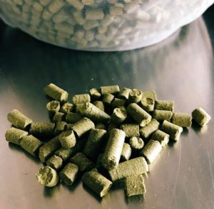 motueka hops